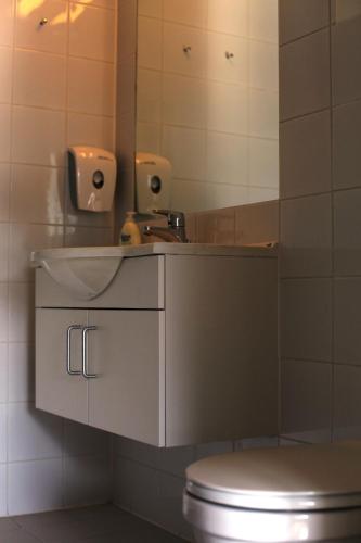 a bathroom with a sink and a toilet at Hordatun Apartments in Røldal