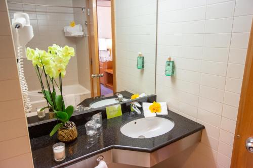 a bathroom with a sink and a mirror at MS Vila Nova in Ponta Delgada