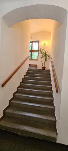 a stairway with a potted plant and a window at Horské ubytování Královský dvůr na Bílém potoce in Hamry