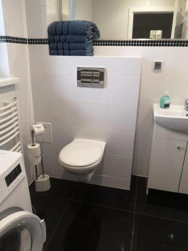 a small bathroom with a toilet and a sink at Haus Am Meer in Mieroszyno