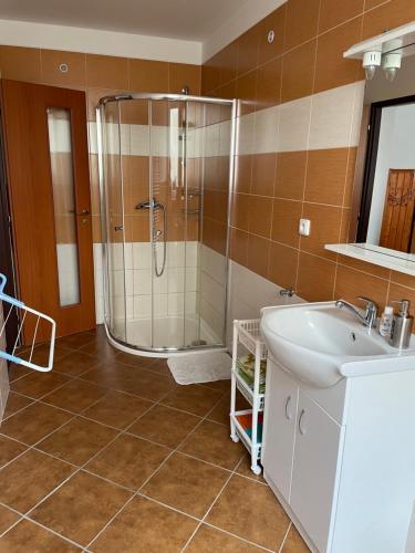 a bathroom with a shower and a sink at Garsoniera v roddiném domě in Dubice