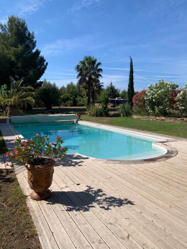 a swimming pool with a potted plant on a wooden deck at Chambre privée avec accès piscine in Laouque