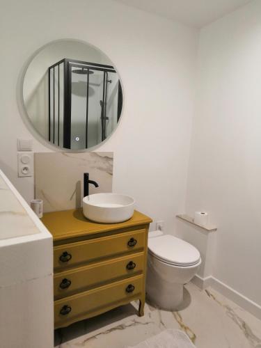 een badkamer met een wastafel, een toilet en een spiegel bij Un petit coin de paradis in Saint-Brevin-les-Pins