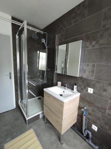 une salle de bain avec un lavabo et une douche dans l'établissement Appartement charmant à Vernon tout près de Giverny, à Vernon