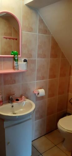 a bathroom with a sink and a toilet at Wczasy u Jasia in Trzęsacz