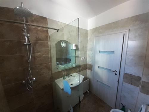 图尔恰Apartament Gabi的带淋浴、水槽和淋浴的浴室