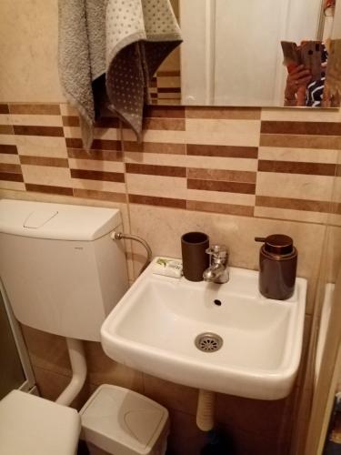 a bathroom with a toilet and a sink at DUŠICA APARTMANI in Jagodina