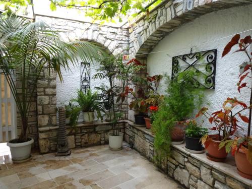 a bunch of potted plants on a brick wall at Remezzo Hotel & Studios in Pythagoreio