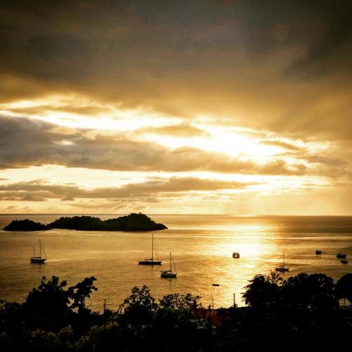 a group of boats in the water at sunset at Le Nid Tropical in Bouillante