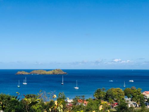 a view of a bay with boats in the water at Le Nid Tropical in Bouillante