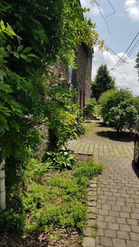 Un jardín fuera de Espace Cosmos
