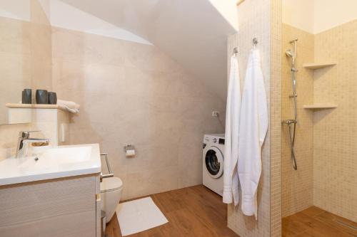 Un baño con lavabo y lavadora. en Villa Violetta Residence, en Labin