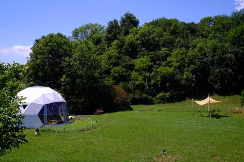 a tent in a field with trees in the background at That's life Glamping - Dolomite Experience in Dorgnan