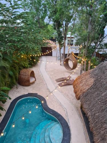 a small swimming pool in a yard with trees at Loto Tulum in Tulum