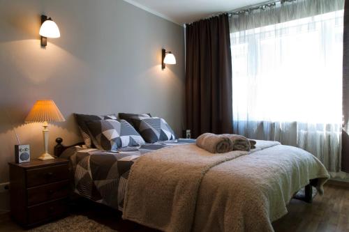 - une chambre avec un grand lit et une fenêtre dans l'établissement Prenzel Apartments - City, à Pärnu
