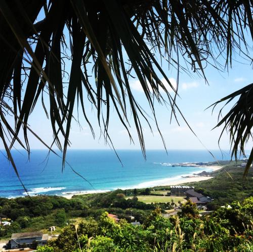 a view of the beach from a palm tree at Ikokujyoucho - Vacation STAY 35774v in Nishinoomote