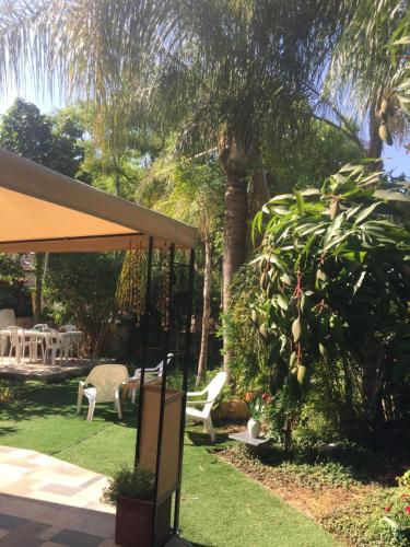 un jardín con sillas y una palmera en בית מרום en Gan Shomeron