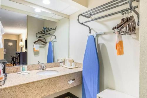 ジョンソンシティにあるQuality Inn Downtownの洗面台と鏡のあるバスルーム