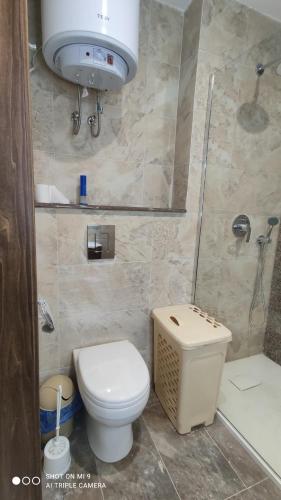a bathroom with a toilet and a shower at Aquamarine Sea Front Apartments - Elevated Ground Floor With Balcony And Yard in Marsaskala