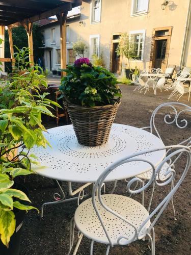 a white table with a basket of flowers on it at LE JABLOIRE in Florent-en-Argonne