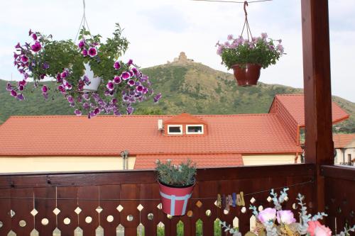 a balcony with two potted plants and a house at Guesthouse Mtskheta-Kapanadze in Mtskheta