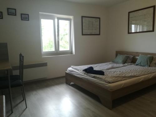 Posteľ alebo postele v izbe v ubytovaní NOPARA gyógySERtár APARTMAN, sörfőzde, bisztró - Petőfi utca 29