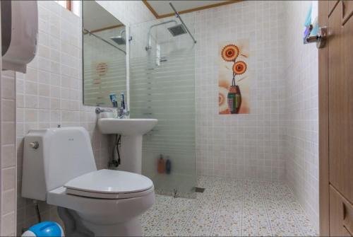 a bathroom with a toilet and a shower and a sink at Jeju Time-Travel Pension in Jeju