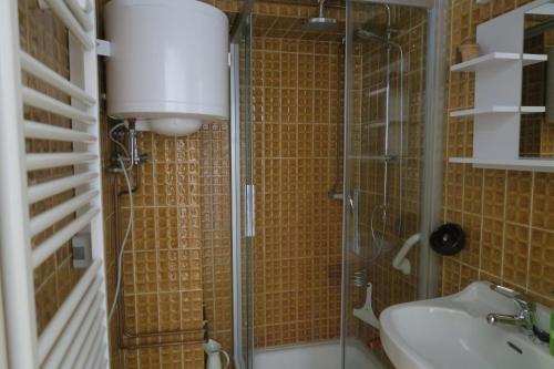 uma casa de banho com um chuveiro e um lavatório. em Dörrmühle em Texing