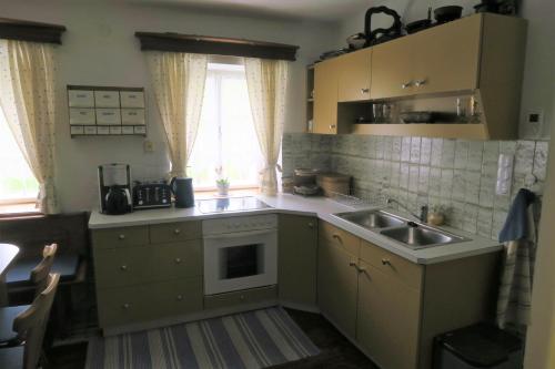 uma cozinha com um lavatório e uma bancada em Dörrmühle em Texing
