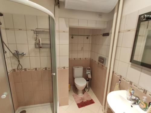 y baño con ducha, aseo y lavamanos. en Apartmán 63m2 s balkonem v lázeňském centru, en Karlovy Vary