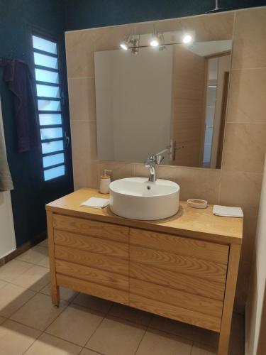 ein Bad mit einem Waschbecken und einem Spiegel in der Unterkunft Villa canne à sucre in Saint-Louis