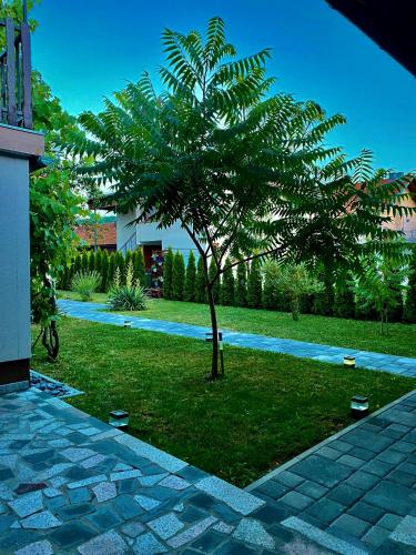 a palm tree in the middle of a yard at Apartments Travel in Otočac