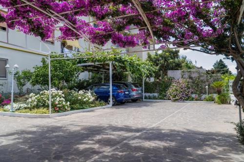 a car parked in a parking lot with purple flowers at Villa Iolanda in Piano di Sorrento