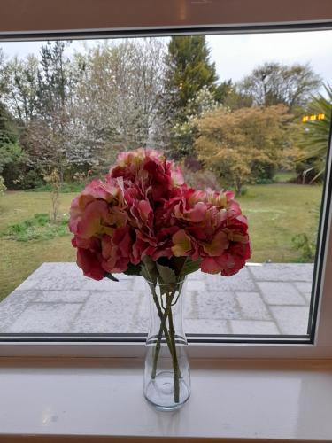 a vase filled with pink flowers sitting in a window at Fairwater Head in Axminster