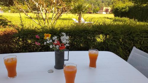 une table avec deux verres de jus d'orange et un vase de fleurs dans l'établissement Gîte près de Sarlat avec jardin et salon de massages, à Carsac-Aillac