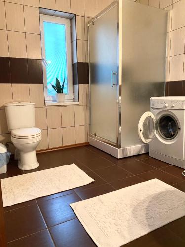 a bathroom with a toilet and a washing machine at Вилла Поляна in Polyana