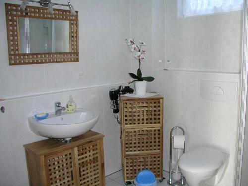 ein Badezimmer mit einem Waschbecken, einem WC und einem Spiegel in der Unterkunft Domizil Neu Venedig in Berlin