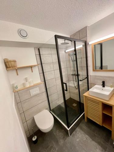 une salle de bain avec une douche, des toilettes et un lavabo dans l'établissement Chaleureux T2 La Tania Courchevel pieds des pistes, à Courchevel