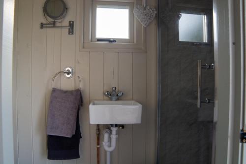 y baño con lavabo y ducha. en Hilltop Hut, en Church Stretton