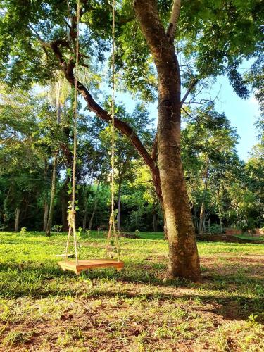 a swing hanging from a tree in a park at Gaia Hospedagem Holística in Brotas