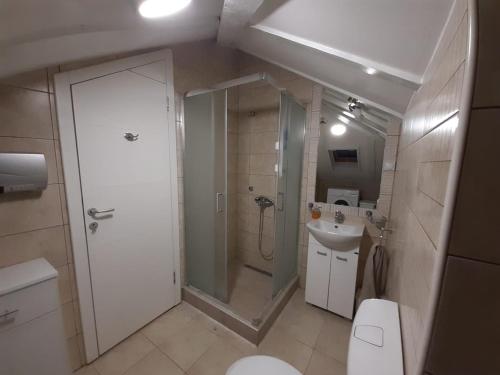 a bathroom with a shower and a toilet and a sink at Apartman Joy in Pasuljište