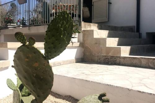 Fotografia z galérie ubytovania Otranto d'Amare v destinácii Casamassella