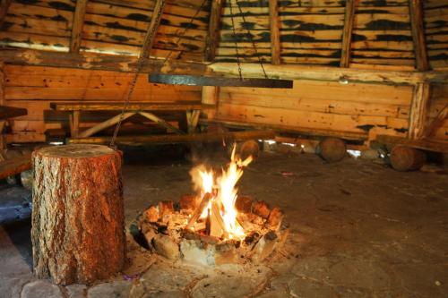 a fire pit in a room with a tree stump at Ośrodek Agroturystyka "u Chlipały" in Ochotnica Górna