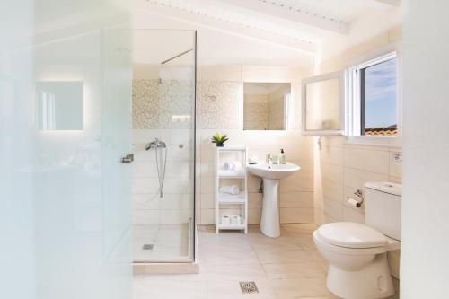 a bathroom with a shower and a toilet and a sink at Villa PANGALIS Romantica in Kato Pavliana