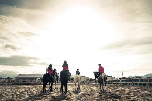 a group of people riding horses on a beach at House of Horses Shtepia e Kuajve in Korçë