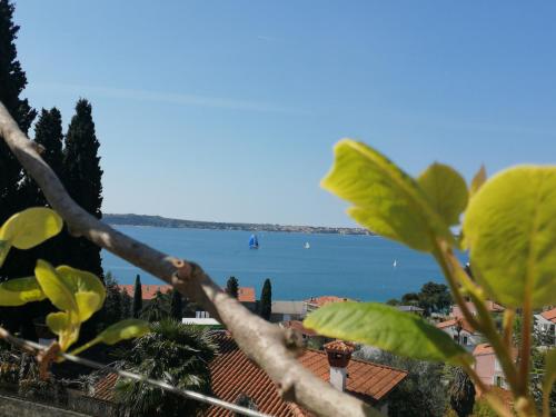 Galería fotográfica de Apartma Gaia en Portorož
