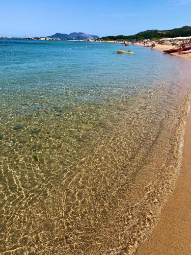 Sardegna Costa Corallina Appartamento Luxury Vista Mare in splendido villaggio - IUN R6511