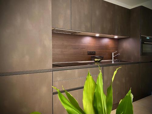 une cuisine avec des armoires en acier inoxydable et une plante dans l'établissement Grand 2 pieces Gray d'Albion, à Cannes