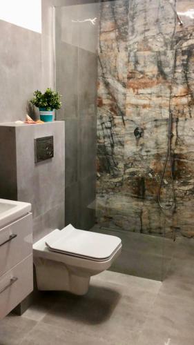 a bathroom with a toilet and a shower at Fala Dziwnow in Dziwnów