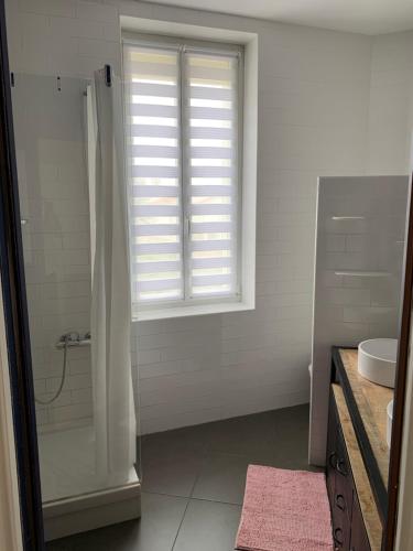a bathroom with a shower and a sink and a window at La maison cocooning in Narbonne